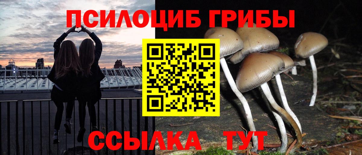 Семёнов  Галлюциногенные грибы GOLDEN TEACHER  Галлюциногенные грибы GOLDEN TEACHER  Вход с VPN 